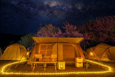 Geceleri kamp yaparken, gece vakti, sakura çiçek ağacıyla çadır ve kışın Tayland 'da, Chiang Mai dağının tepesinde, arka planda yıldız.