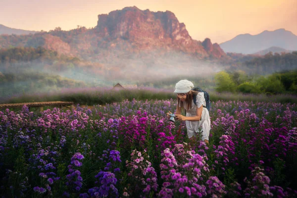 Blomma Trädgården Vid Phu Pha Muak Med Asiatisk Kvinna Resenär — Stockfoto