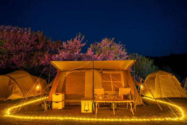 Barraca Acampamento Noite Com Árvore Flor Sakura Noite Estrela Backgroung — Fotografia de Stock