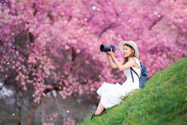 アジアの旅行者の女性中年の写真で彼女のデジタルカメラによってピンクの桜の花にチェンマイ 土井Intanon山 — ストック写真