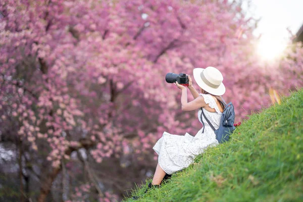 Asiatisk Resenär Kvinna Medelåldern Ett Foto Sin Digitalkamera Till Rosa — Stockfoto
