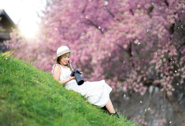 Азиатская Женщина Среднего Возраста Сделайте Фото Цифровой Камеры Розовый Цветок — стоковое фото