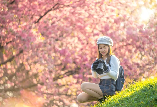 写真家の女の子 アジアの旅行者の女性は 東京の桜や桜の花の背景とキャンプ場の彼女のテントで彼女のデジタルカメラで写真を撮る — ストック写真