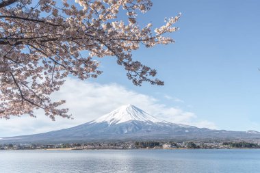 Nisan, Tokyo, Japonya 'da kiraz çiçekli Fuji dağı