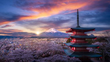 Tokyo 'da gece ve gündüz vakti kiraz çiçekli kırmızı chureito pagoda ve Fujiyama dağı.