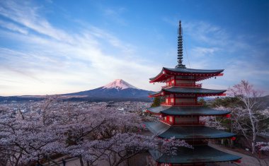 Tokyo 'da gece ve gündüz vakti kiraz çiçekli kırmızı chureito pagoda ve Fujiyama dağı.