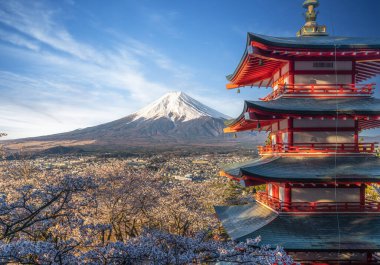 Kiraz çiçekli kırmızı chureito pagoda ve Fujiyama dağı Tokyo, Japonya 'da gün doğumunda