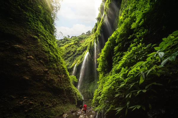 印度尼西亚爪哇Madakaripura瀑布的亚洲旅行者 旅行概念和发现 — 图库照片