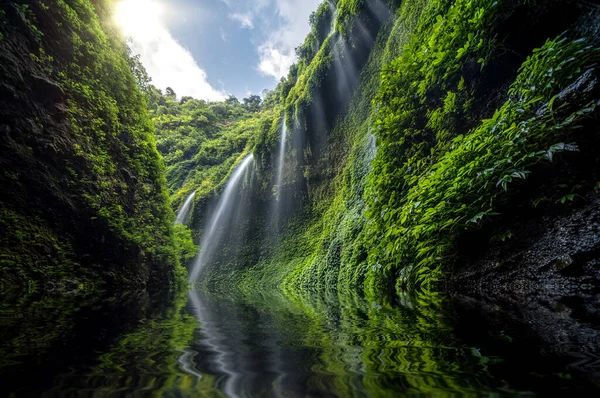 Azjatycki Podróżnik Madakaripura Waterfall Java Indonezja Koncepcja Podróży Odkrycie — Zdjęcie stockowe