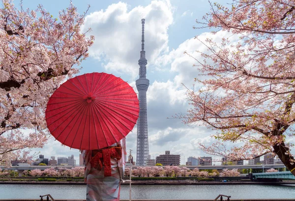 Tokyo Skytree Tower Sakura Pink Cherry Blossom Flower Spring Season — Stock Photo, Image