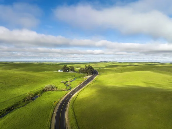 top view from drone of cow farm and meadow green valley and road in countryside of San francisco, California, USA