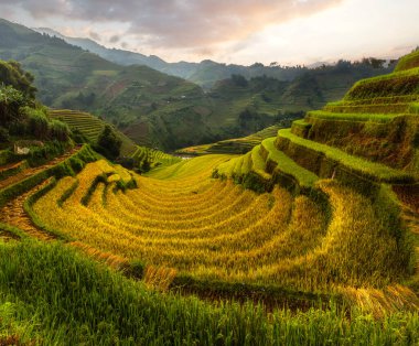 Teras pirinç tarlasının en üst manzarası. Eski kulübesi Sapa şehri yakınlarındaki mi cang chai kırsalında.,