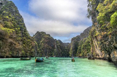 Fi adası ve Maya plajı Krabi, Phuket, Tayland 'daki en iyi seyahat noktası.