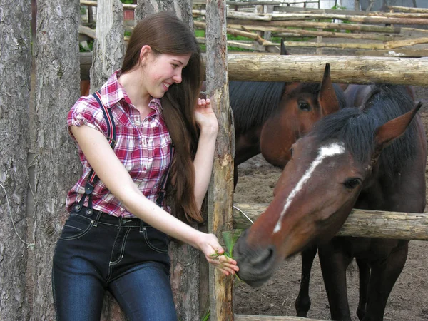 牧場で若い馬に餌をやるカウボーイスタイルの若い魅力的な女性 — ストック写真