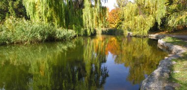 Ekim ayındaki sonbahar parkının panoramik görüntüsü
