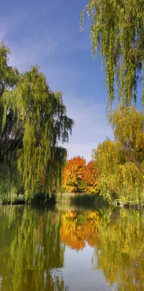  Ekim ayında sonbahar parkının panoramik görüntüsü, dikey bileşim