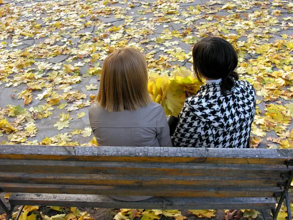 Dwie Studentki Odpoczywające Jesiennym Parku Widok Tyłu — Zdjęcie stockowe
