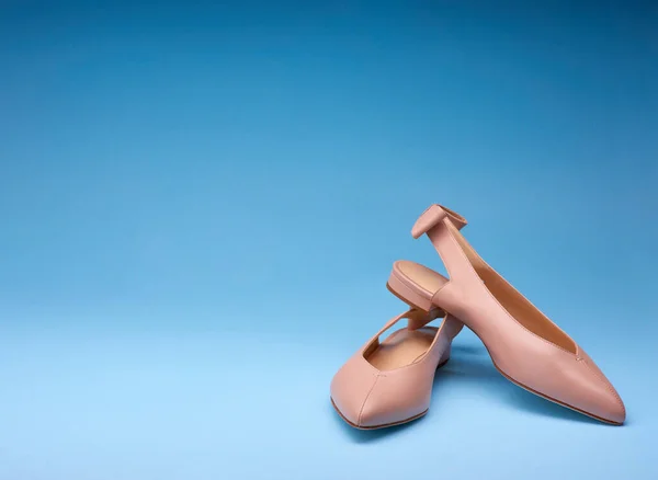 Sapatos Femininos Suaves Elegantes Com Dedos Apontados Costas Abertas Decorados — Fotografia de Stock