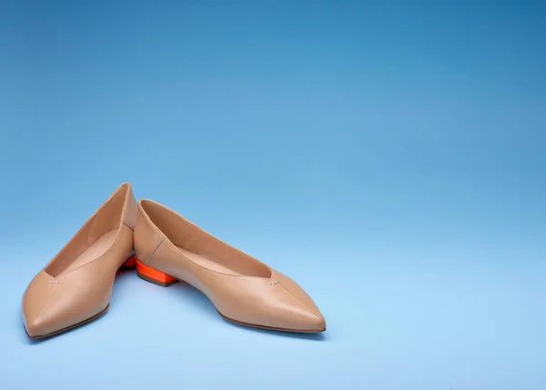 Par Modernos Bege Apontou Toe Sapatos Balé Design Contraste Com — Fotografia de Stock