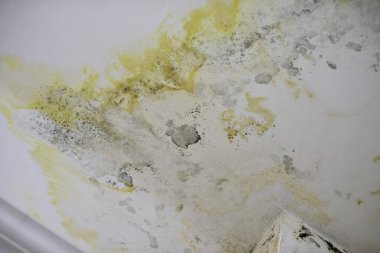 Komşuların ya da hasarlı çatıların su baskınından dolayı oluşan tavan. Komşuların akını. Restorasyon müteahhit servisi tanıtıyor,