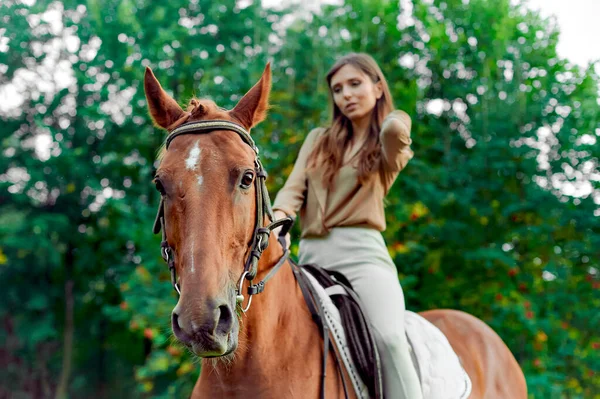Montado Cavalo Equestrianismo Passeios Cavalo Esportes Relacionados Cavalos Promovem Bem — Fotografia de Stock