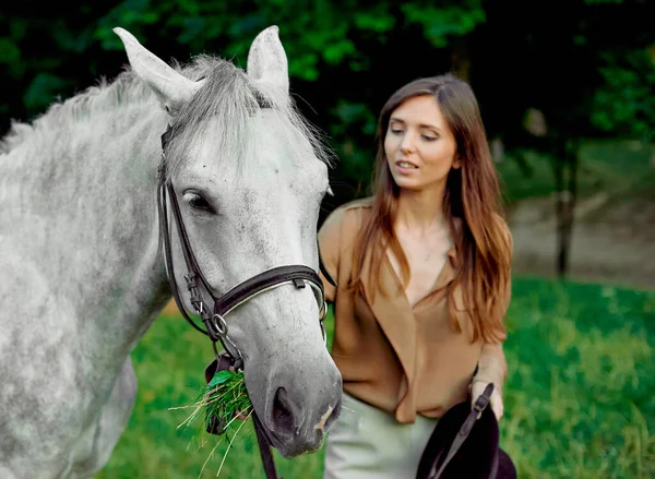 小女孩站在草地上 骑着一匹灰色的马 学习马食C — 图库照片