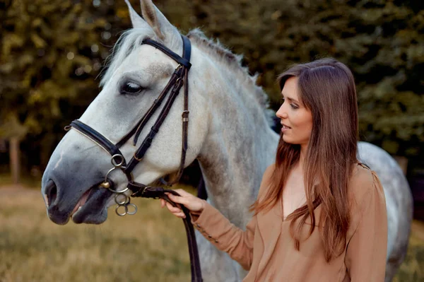 Horse training while woman enjoys spending time with a bridled dapple grey horse in the countryside. Horse therapy, animals help with stress. Gift certificate for emotions. Profile portrait of horse.