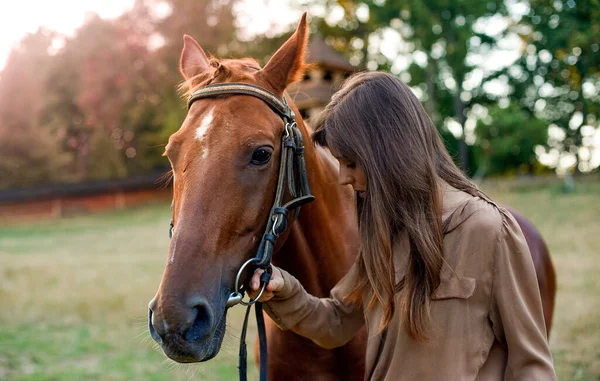 一个女人和她的马在乡间的草地上一个年轻的骑手在大自然中的画像 训练马匹 利用一个模拟的户外竞技场 促进福祉和缓解压力 — 图库照片