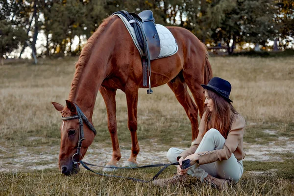 在农村 一位戴着黑色帽子的年轻女子坐在草地上 旁边是一匹棕色的牧草 马被喂食 关于海马疗法和情绪的礼物证书 夕阳西下的马 — 图库照片