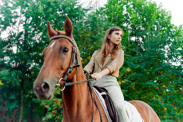 骑着马 农村有马的女人马术可以促进幸福和放松 参与马术治疗 享受大自然的周末 促进动物交流以达到感情平衡 — 图库照片