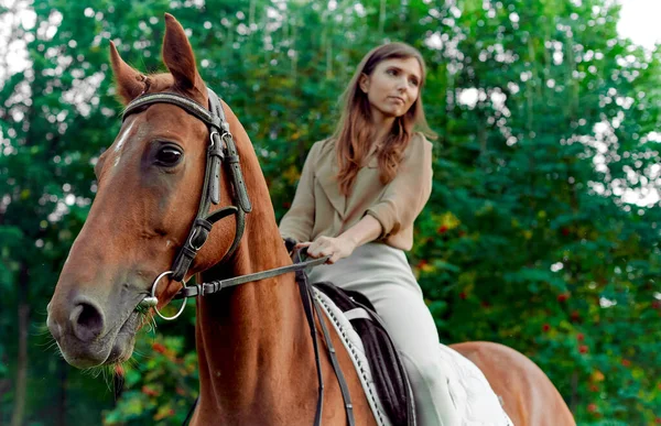 骑马经验 马背上的旅程Meadow相遇 大自然 骑手的好处 感情更新 年轻女人和她的马 优雅的女士骑着马 — 图库照片