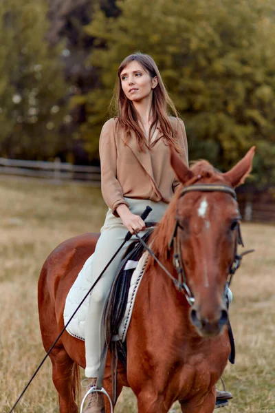 乡村风景中的妇女和马匹 马术可以促进幸福和缓解压力 肖像画描绘了马术训练 展示了一个运动员的农场和室外马鞍运动场 — 图库照片