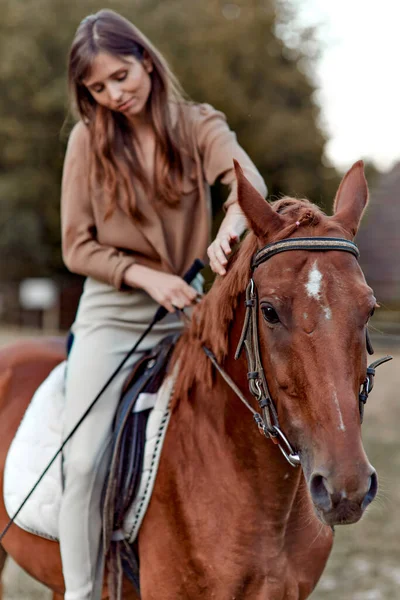 在乡间的风景中 一个女人和她的马拴在草地上 一个年轻骑师的肖像凸显了农场的训练和户外鞍座的运动设置 — 图库照片