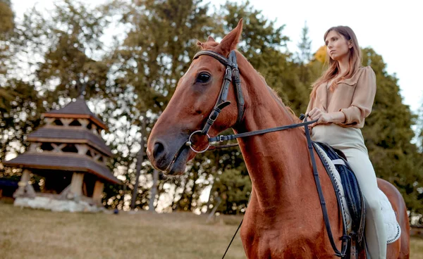 一个年轻的骑师女孩牵着一匹骑在缰绳旁边的棕色鞍马 马术学校提供骑马课程和治疗经验 如海马疗法 关心马的情绪健康 — 图库照片