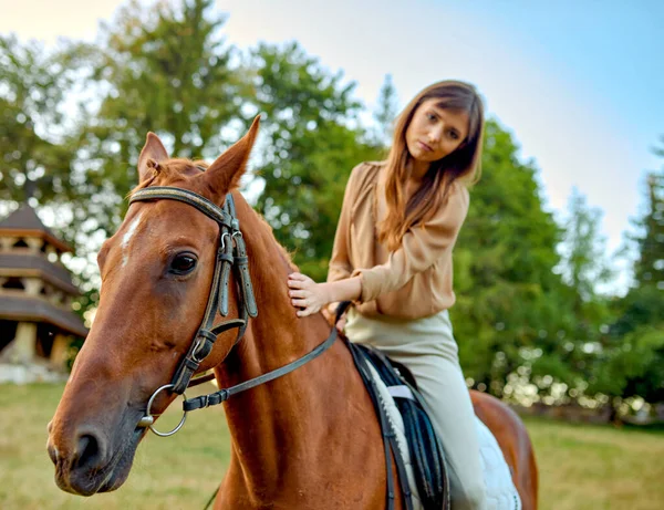 一个女人在乡间的草地上轻柔地抚摸着一匹马 一个年轻骑师的肖像凸显了农场的训练和户外鞍座的运动设置 — 图库照片