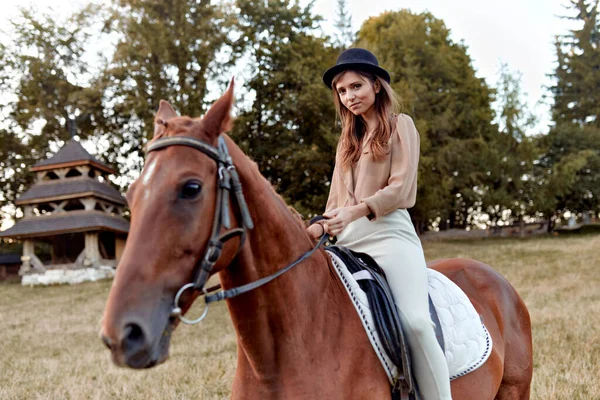 骑马和与马有关的运动的艺术提供了快乐和放松 一个女人和她的马被困在肖像里骑马礼券 — 图库照片