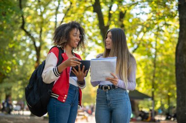Bayan üniversite öğrencileri üniversitelerinin yakınındaki bir parkta birlikte okuyorlar.