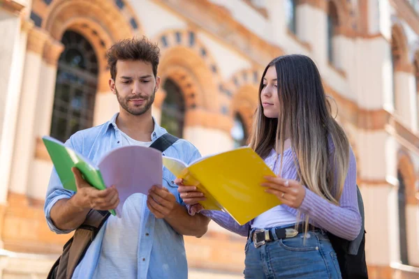 Male Female Students Studying Together Front School — Stock Photo, Image