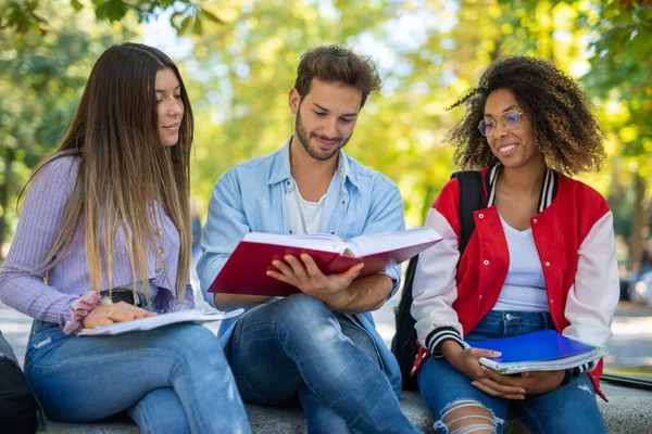 Grupp Collegestudenter Som Studerar Tillsammans Park — Stockfoto