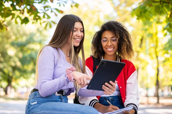 Női Főiskolai Hallgatók Együtt Tanulnak Egyetemük Melletti Parkban — Stock Fotó