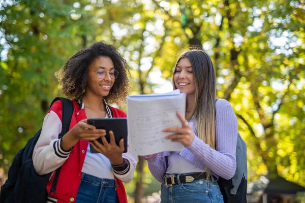 Studentinnen Studieren Gemeinsam Einem Park Der Nähe Ihrer Universität — Stockfoto