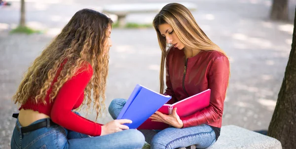 Jonge Vrouwelijke Studenten Studeren Samen Buitenshuis — Stockfoto