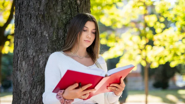 女人靠在公园的树上看书 — 图库照片