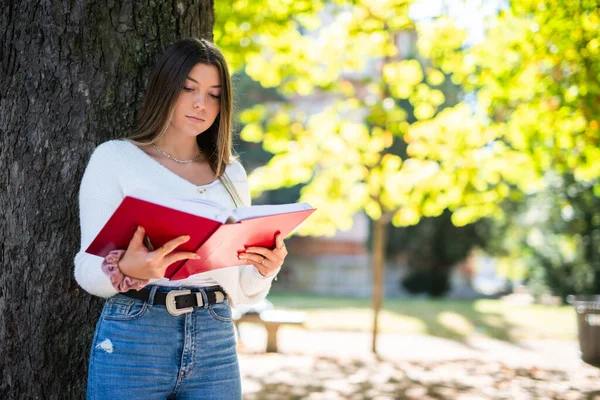 Молодая Женщина Читает Книгу Парке — стоковое фото
