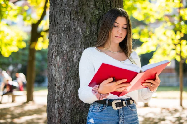 Junge Frau Liest Einem Park Ein Buch — Stockfoto