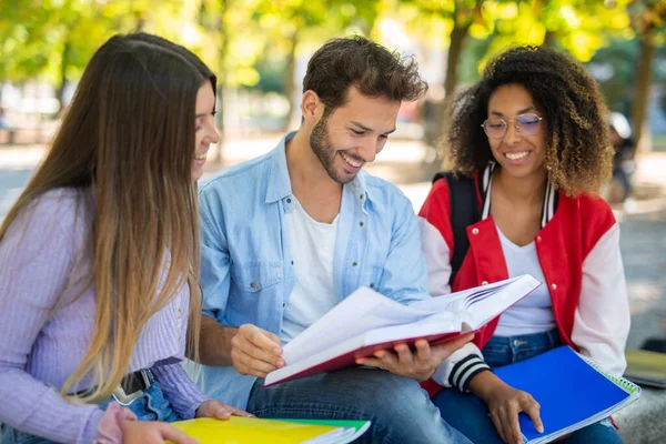 Egyetemi Hallgatók Csoportja Együtt Tanul Egy Parkban — Stock Fotó