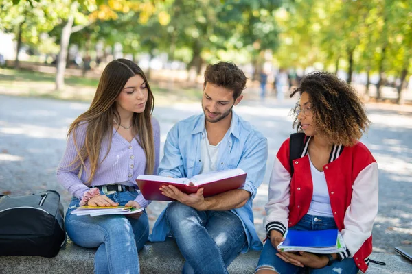 公園で一緒に勉強する大学生のグループ — ストック写真