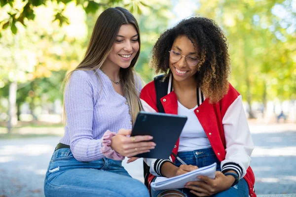 Bayan Üniversite Öğrencileri Üniversitelerinin Yakınındaki Bir Parkta Birlikte Okuyorlar — Stok fotoğraf