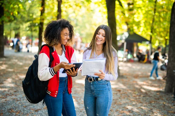 stock image Female college students studying together in a park near their university