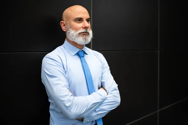 Reife Glatze Stilvolles Geschäftsmann Porträt Mit Weißem Bart Freien Mit — Stockfoto